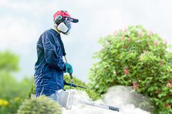 Обработка сада от паразитов - необходимые меры и их регулярность  в Екатеринбурге