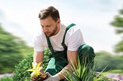 Озеленение и городское благоустройство, создание комфортной среды  в Екатеринбурге