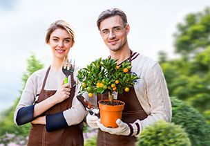 Проект «под ключ» где можно заказать по низкой цене  в Екатеринбурге