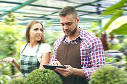 Дендроплан - верное планирование территории и решения этой задачи на уровне  в Екатеринбурге