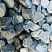 Kamenclub.ru: Щебень галтованный зеленый (змеевик) фр. 50-100 мм.  купить в Екатеринбурге галтовка мраморная зеленый, салатовый мрамор 12 500 руб/т   фото КАМЕНЬ КЛУБ