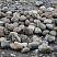 Kamenclub.ru: Речной валун (Ассорти) фр.100-300 мм.  купить в Екатеринбурге галечник серый, темно-серый, светло-серый речная галька крупных размеров 4200 руб/т   фото КАМЕНЬ КЛУБ