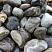 Kamenclub.ru: Речной валун Кабанчик фр.300-500 мм.  купить в Екатеринбурге крупный природный камень галька серый, темно-серый речной валун галечник масштабный 7000 руб/т   фото КАМЕНЬ КЛУБ