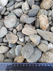 Kamenclub.ru: Галька речная окат (пестрая) фр. 20-40 мм. купить  в Екатеринбурге галька речная пестрая, серая, серые оттенки галька речная окатанная округлая 5000 руб/т   фото КАМЕНЬ КЛУБ