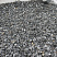 Kamenclub.ru: Щебень крошка черный (мрамор) фр. 10-20 мм.  купить в Екатеринбурге мрамор черный с белыми прожилками, черный, белый каменная ландшафтная декоративная крошка щебня 11000 руб/т   фото КАМЕНЬ КЛУБ