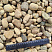 Kamenclub.ru: Галька речная окат рыжая фр. 20-40 мм. купить  в Екатеринбурге галька речная окатанная рыжая желтая серая округлая речная галька 5000 руб/т   фото КАМЕНЬ КЛУБ