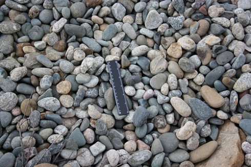 Kamenclub.ru: Галька речная окат (пестрая) фр. 20-40 мм. купить  в Екатеринбурге галька речная пестрая, серая, серые оттенки галька речная окатанная округлая 5000 руб/т   фото КАМЕНЬ КЛУБ