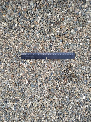 Kamenclub.ru: Галька речная окат (серая) фр.5-10 мм купить  в Екатеринбурге галька речная серая, серый, темно-серый, светло-серый, коричневый речная окатанная галька декоративная ландшатфная 5000 руб/т   фото КАМЕНЬ КЛУБ