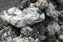 Kamenclub.ru: Черный гранит - кварцит фр. 100-500 мм.  купить в Екатеринбурге мрамор гранит черный с белыми прожилками, серый, белый валун скальный колотый 7000 руб/т   фото КАМЕНЬ КЛУБ