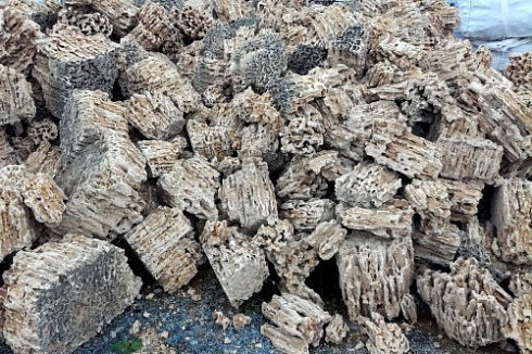 Kamenclub.ru: Крымский природный меотис фр. 100-500 мм.  купить в Екатеринбурге меотис бежевый рыжий молочный желтый ракушечник 4 500 руб/т   фото КАМЕНЬ КЛУБ