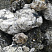 Kamenclub.ru: Черный гранит - кварцит фр. 100-500 мм.  купить в Екатеринбурге мрамор гранит черный с белыми прожилками, серый, белый валун скальный колотый 7000 руб/т   фото КАМЕНЬ КЛУБ