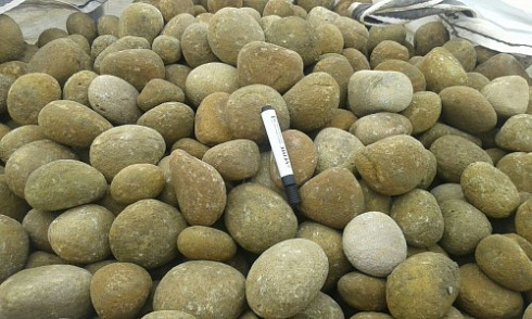 Kamenclub.ru: Песчаник ядра, фр. 100-300 мм  купить в Екатеринбурге песчаник бежевый серый рыжий речная галька 5 000 руб/т   фото КАМЕНЬ КЛУБ