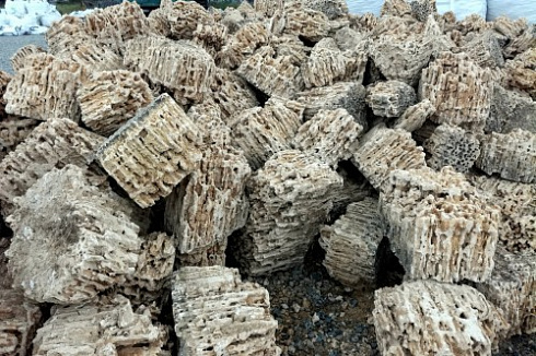 Kamenclub.ru: Крымский природный меотис фр. 100-500 мм.  купить в Екатеринбурге меотис бежевый рыжий молочный желтый ракушечник 4 500 руб/т   фото КАМЕНЬ КЛУБ