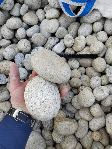 Kamenclub.ru: Галька речная окат (серо-белая) фр. 70-120 мм купить  в Екатеринбурге галька галечник бело-серая, серо-белая, серая, белая речная природная галька  8000 руб/т   фото КАМЕНЬ КЛУБ