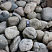 Kamenclub.ru: Темно-серый валунчик фр.100-300 мм.  купить в Екатеринбурге крупный природный камень серый, темно-серый, светло-серый речная галька большого размера окатанная 4500 руб/т   фото КАМЕНЬ КЛУБ