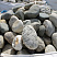 Kamenclub.ru: Речной валун (Ассорти) фр.100-300 мм.  купить в Екатеринбурге галечник серый, темно-серый, светло-серый речная галька крупных размеров 4200 руб/т   фото КАМЕНЬ КЛУБ