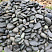 Kamenclub.ru: Темно-серый валунчик фр.100-300 мм.  купить в Екатеринбурге крупный природный камень серый, темно-серый, светло-серый речная галька большого размера окатанная 4500 руб/т   фото КАМЕНЬ КЛУБ