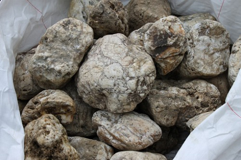 Kamenclub.ru: Кварцевый валунчик фр.100-300 мм.  купить в Екатеринбурге кварц белый, бежевый молочный рыжий крупный природный камень галечник 7850 руб/т   фото КАМЕНЬ КЛУБ