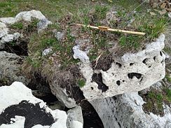 Kamenclub.ru: Выветренный известняк (степной) фр. 500-1500 мм.  купить в Екатеринбурге    10000 руб/т   фото КАМЕНЬ КЛУБ