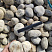 Kamenclub.ru: Галька речная окат (серо-белая) фр. 70-120 мм купить  в Екатеринбурге галька галечник бело-серая, серо-белая, серая, белая речная природная галька  8000 руб/т   фото КАМЕНЬ КЛУБ