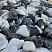 Kamenclub.ru: Мраморная крошка (щебень галтованный микс:: белый-черный) фр.20-40 мм  купить в Екатеринбурге мрамор белый, черный мраморный галтованный щебень 15500 руб/т   фото КАМЕНЬ КЛУБ