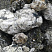 Kamenclub.ru: Черный гранит - кварцит фр. 100-500 мм.  купить в Екатеринбурге мрамор гранит черный с белыми прожилками, серый, белый валун скальный колотый 7000 руб/т   фото КАМЕНЬ КЛУБ