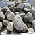Kamenclub.ru: Речной валун (Ассорти) фр.100-300 мм.  купить в Екатеринбурге галечник серый, темно-серый, светло-серый речная галька крупных размеров 4200 руб/т   фото КАМЕНЬ КЛУБ