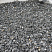 Kamenclub.ru: Щебень крошка черный (мрамор) фр. 5-10 мм.  купить в Екатеринбурге мрамор черный с белыми прожилками, черный, белый мраморная крошка декоративная ландшафтная 11000 руб/т   фото КАМЕНЬ КЛУБ