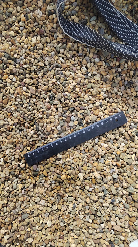 Kamenclub.ru: Галька окат (серо-желтая) фр.5-10 мм. купить  в Екатеринбурге галька речная рыжий, желтый, рыжий, серо-желтый речная окатанная галька декоративная 5000 руб/т   фото КАМЕНЬ КЛУБ