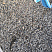Kamenclub.ru: Галька речная окат (серая) фр.3-5 мм купить  в Екатеринбурге галька речная серая бежевый темно-серый окатанный речной камень округлый 9500 руб/т   фото КАМЕНЬ КЛУБ