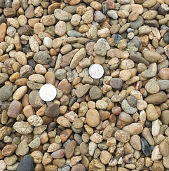 Kamenclub.ru: Галька окат (серо-желтая) фр.10-20 мм. купить  в Екатеринбурге галька серо-желтая, рыжая, серый речная окатанная округлая галька 5000 руб/т   фото КАМЕНЬ КЛУБ