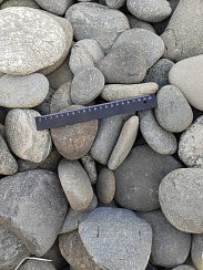 Kamenclub.ru: Галька речная плоская (ассорти) фр. 70-150 мм. купить в Екатеринбурге галька галечник серый белый темно-серый синий светло-серый плоская природная галька  9000 руб/т   фото КАМЕНЬ КЛУБ