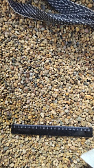 Kamenclub.ru: Галька окат (серо-желтая) фр.5-10 мм. купить  в Екатеринбурге галька речная рыжий, желтый, рыжий, серо-желтый речная окатанная галька декоративная 5000 руб/т   фото КАМЕНЬ КЛУБ