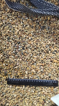 Kamenclub.ru: Галька окат (серо-желтая) фр.5-10 мм. купить  в Екатеринбурге галька речная рыжий, желтый, рыжий, серо-желтый речная окатанная галька декоративная 5000 руб/т   фото КАМЕНЬ КЛУБ