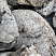 Kamenclub.ru: Кварцевый валунчик фр.100-300 мм.  купить в Екатеринбурге кварц белый, бежевый молочный рыжий крупный природный камень галечник 7850 руб/т   фото КАМЕНЬ КЛУБ