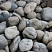 Kamenclub.ru: Речной валун (Ассорти) фр.100-300 мм.  купить в Екатеринбурге галечник серый, темно-серый, светло-серый речная галька крупных размеров 4200 руб/т   фото КАМЕНЬ КЛУБ