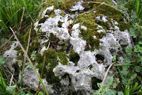 Kamenclub.ru: Выветренный известняк со мхом фр. 100-500 мм.  купить в Екатеринбурге известняк серый белый зеленый валун известняковый крупный 10000 руб/т   фото КАМЕНЬ КЛУБ