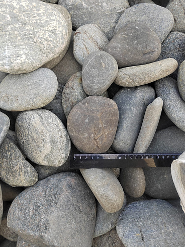 Kamenclub.ru: Галька речная плоская (ассорти) фр. 70-150 мм. купить  в Екатеринбурге галька галечник серый белый темно-серый синий светло-серый плоская природная галька  9000 руб/т   фото КАМЕНЬ КЛУБ