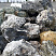 Kamenclub.ru: Черный гранит - кварцит фр. 100-500 мм.  купить в Екатеринбурге мрамор гранит черный с белыми прожилками, серый, белый валун скальный колотый 7000 руб/т   фото КАМЕНЬ КЛУБ
