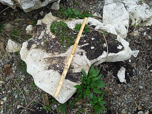 Kamenclub.ru: Выветренный известняк (степной) фр. 500-1500 мм.  купить в Екатеринбурге    10000 руб/т   фото КАМЕНЬ КЛУБ