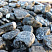 Kamenclub.ru: Щебень галтованный черный (мрамор) фр.20-40 мм.  купить в Екатеринбурге мрамор черный с белыми прожилками мрамор окатанный округлый 15000 руб/т   фото КАМЕНЬ КЛУБ