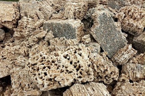 Kamenclub.ru: Крымский природный меотис фр. 100-500 мм.  купить в Екатеринбурге меотис бежевый рыжий молочный желтый ракушечник 4 500 руб/т   фото КАМЕНЬ КЛУБ