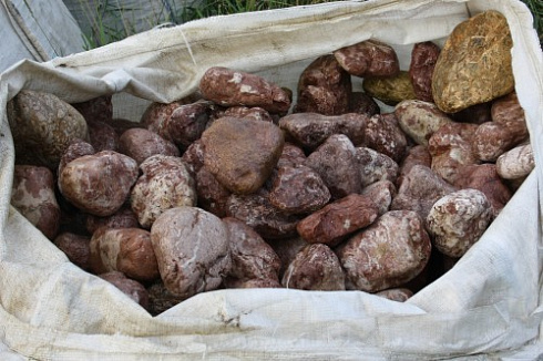 Kamenclub.ru: Розовый валунчик фр.100-300 мм.  купить в Екатеринбурге крупный природный камень розовый, серый молочный красный речной галечник природный 7850 руб/т   фото КАМЕНЬ КЛУБ