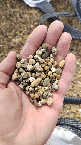 Kamenclub.ru: Галька окат (серо-желтая) фр.5-10 мм. купить  в Екатеринбурге галька речная рыжий, желтый, рыжий, серо-желтый речная окатанная галька декоративная 5000 руб/т   фото КАМЕНЬ КЛУБ